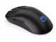 Мишки Endorfy GEM Plus Wireless