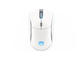 Мишки Endorfy GEM Plus Wireless Onyx White