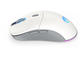 Мишки Endorfy GEM Plus Wireless Onyx White