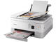 Принтери Canon PIXMA TS7451a White