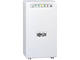 UPS Непрекъсваем ТЗИ, Tripp Lite by Eaton UPS SmartPro 700VA 450W