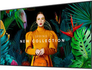 Интерактивни дисплеи Samsung QM75C