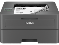 Принтери Brother HL-L2442DWYJ1