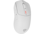 Мишки Genesis Zircon 500, White