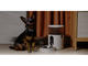 Smart Home Aqara Smart Pet Feeder C1