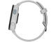 Смарт часовници Garmin Forerunner 165 Mist grey/Whitestone