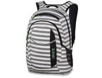 Чанти за Лаптопи Dakine Garden 20L Regatta Stripes