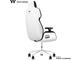Геймърски столове Thermaltake Argent E700 Glacier White