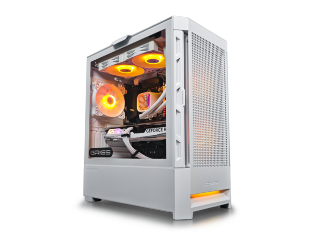 G:RIGS del 10013