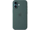 Калъфи Apple iPhone 16 Silicone Case with MagSafe - Lake Green (Seasonal)