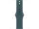 Каишки Apple Watch 42mm Sport Band: Lake Green Sport Band - M/L (Seasonal)