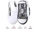 Мишки Lamzu ATLANTIS MINI [Champion Edition] 1K (8K compatible) , Panda White