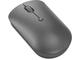 Мишки Lenovo 540 USB-C Wireless Compact Mouse, Storm grey 