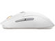 Мишки SteelSeries Rival 3 Gen2 Wireless - White