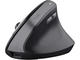 Мишки TRUST Bayo II Ergonomic Wireless Mouse, Black