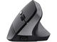 Мишки TRUST Bayo II Ergonomic Wireless Mouse, Black