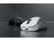 Мишки Pulsar Xlite v4 Size3 - 1K (8K compatible), White