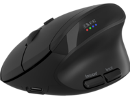 Мишки Canyon MW-25 CNS-CMSW25