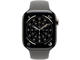 Смарт часовници Apple Watch S11 GPS + Cellular 46mm Natural Titanium Case with Stone Grey Sport Band - M/L