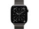 Смарт часовници Apple Watch S11 GPS + Cellular 46mm Slate Titanium Case with Slate Milanese Loop - S/M