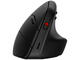 Мишки HP 925 Ergonomic Vertical Mouse (6H1A5AA)