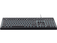 Клавиатури TRUST Primo Illuminated Keyboard BG
