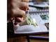 Хартия Canon Zink Paper ZP-203020S