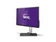 Монитори BenQ BL3200PT