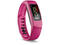 Смарт гривни Garmin Vivofit 2