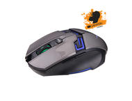 Мишки Canyon CND-SGM7G