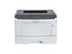 Принтери Lexmark MS310dn