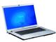 Лаптопи SONY VAIO FW51ZF/H 