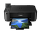Принтери Canon Pixma MG4250