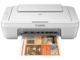 Принтери Canon Pixma MG2950 - бял