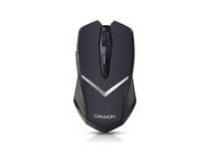 Мишки Canyon CNE-CMSW3